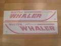 OEM Boston Whaler Parts - Decal - Boston Whaler
