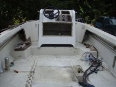 Boston Whaler - Console Removed