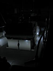 Boston Whaler - Courtesy lighting 2