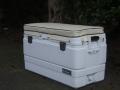 Boston Whaler - Igloo Marine Cooler